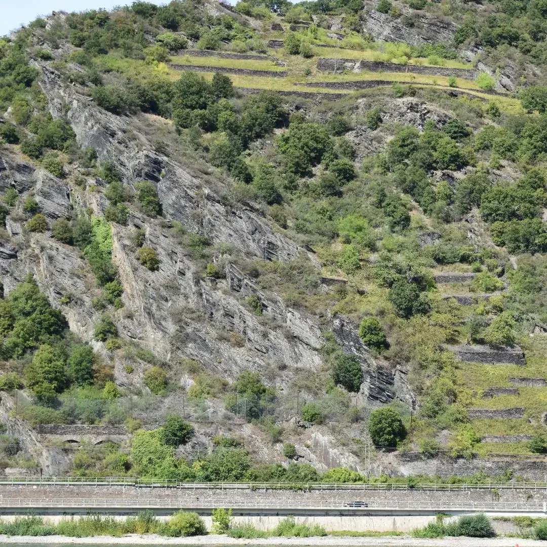 Steiler Schieferhang im Mittelrheintal mit Steinschlagnetzen, darunter Bahnstrecke und Bundesstraße