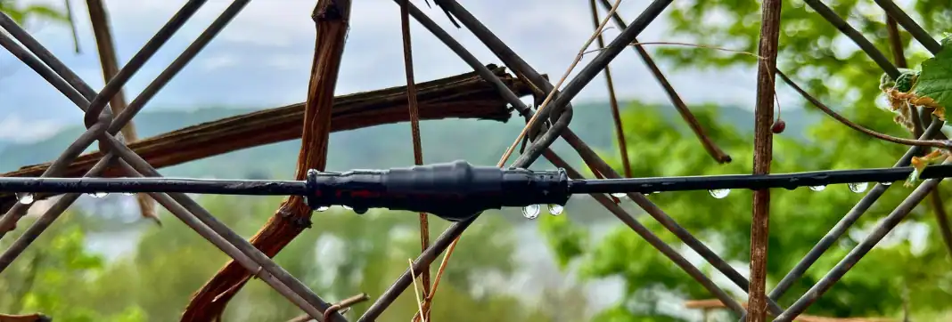 Sensorleitung mit Steckverbindung im Drahtgeflecht des Auffangzauns, im Hintergrund das Tal
